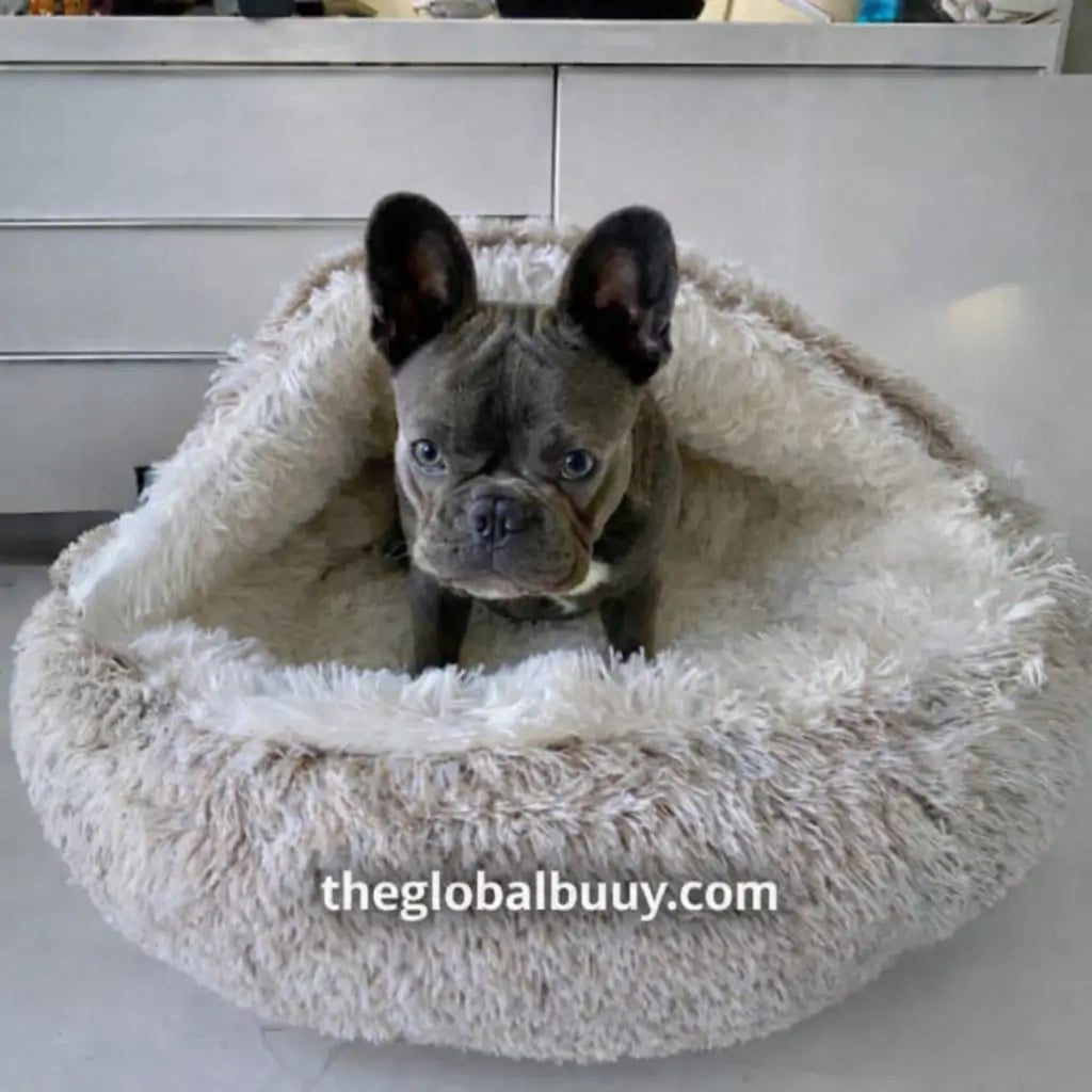 🌍 The World’s First Cozy Cocoon Pet Bed ⏳ Limited Stock