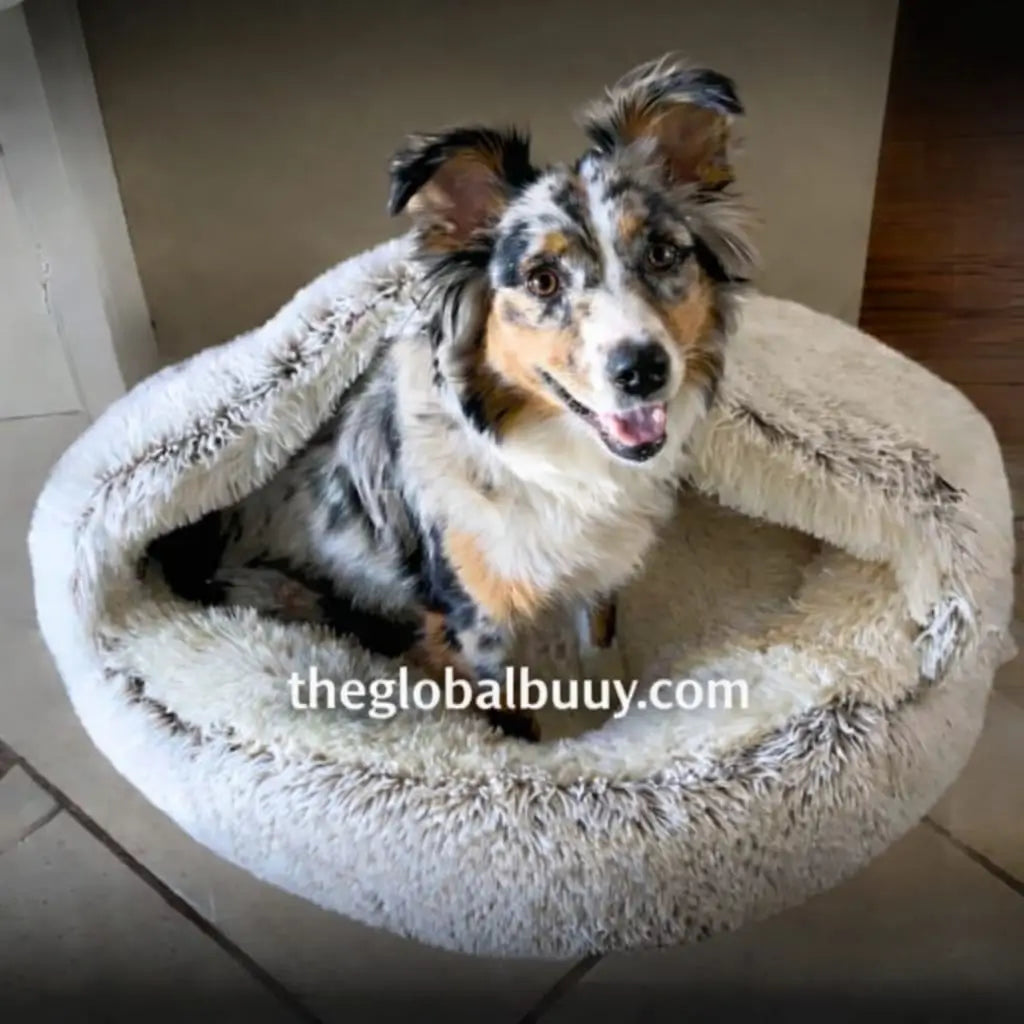 🌍 The World’s First Cozy Cocoon Pet Bed ⏳ Limited Stock