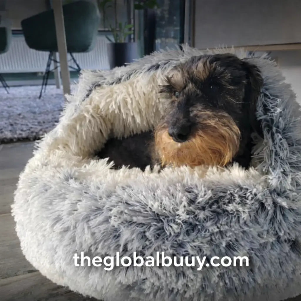 🌍 The World’s First Cozy Cocoon Pet Bed ⏳ Limited Stock